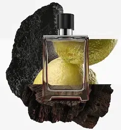 TERRE D'HERMÈS EAU DE PARFUM INTENSE : La Puissance de la Terre