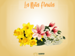 les notes florales