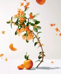 Alternative view of FLEUR D'OSMANTHUS GEL DOUCHE ROGER & GALLET 200 ML