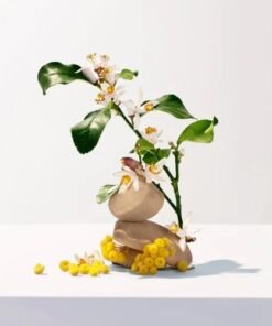 Alternative view of NEROLI FACÉTIE GEL DOUCHE ROGER ET GALLET 200 ML