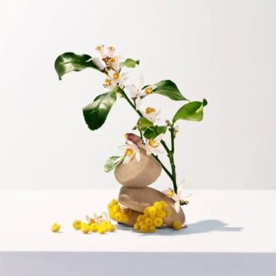 Alternative view of NEROLI FACÉTIE GEL DOUCHE ROGER ET GALLET 200 ML