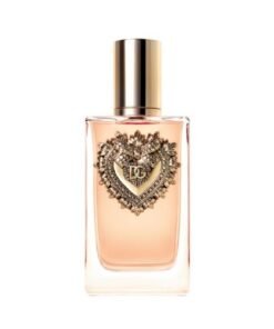 DEVOTION DOLCE & GABBANA