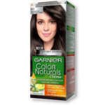 Garnier coloration naturals 4.1