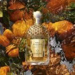 Aqua Allegoria Mandarine Basilic Guerlain