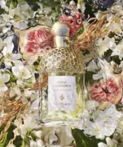 Aqua Allegoria Nerolia Vetiver Guerlain