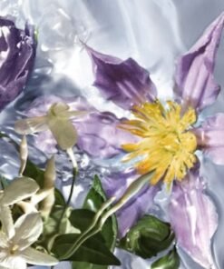 AQUA ALLEGORIA FLORA SALVAGIA