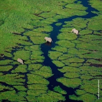 Aqua Allegoria Orange Soleia