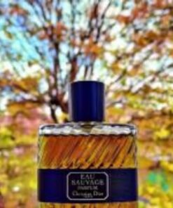 EAU SAUVAGE PARFUM DIOR