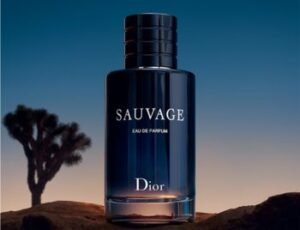 le parfum sauvage homme de Dior
