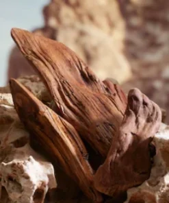 K by Dolce & Gabbana Parfum