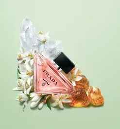 Prada paradoxe eau de parfum