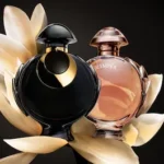 OLYMPÉA ABSOLU INTENSE par Rabanne